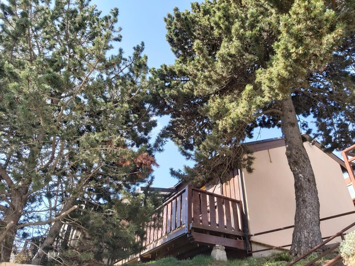 Chalet De L Ours Bolquere Экстерьер фото